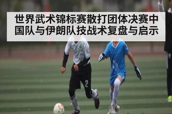 世界武术锦标赛散打团体决赛中国队与伊朗队技战术复盘与启示